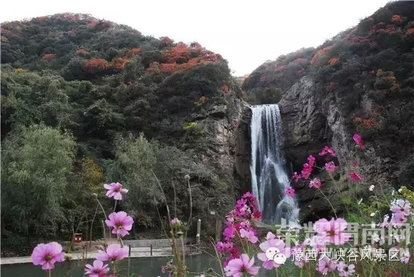 ԥ����Ͽ����ɫ����