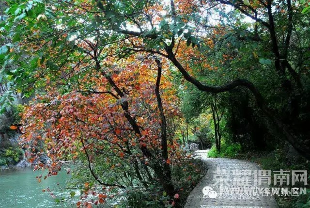 ԥ����Ͽ����ɫ����