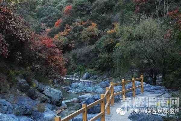 ԥ����Ͽ����ɫ����