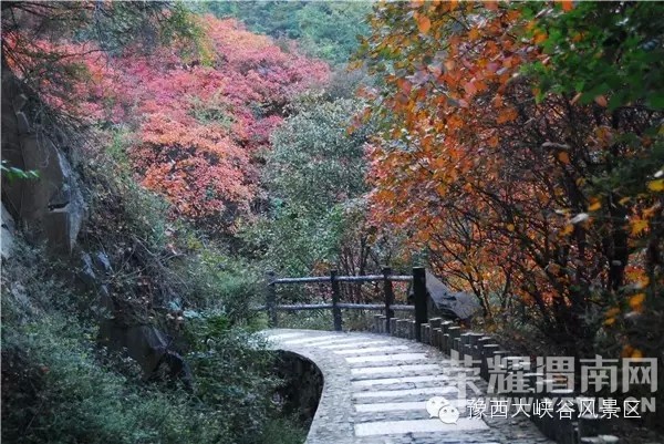 ԥ����Ͽ����ɫ����