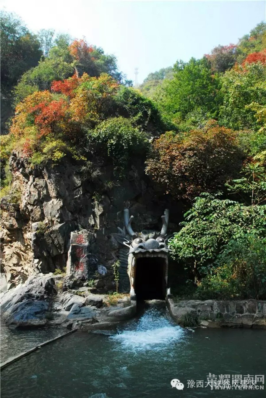 ԥ����Ͽ����ɫ����