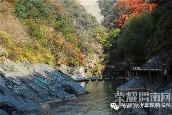 ԥ����Ͽ����ɫ����