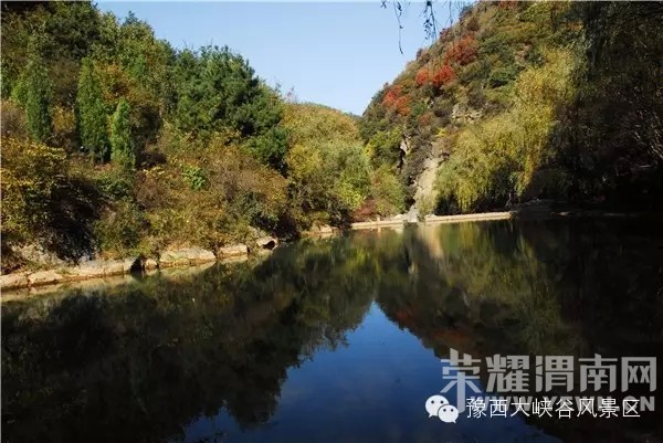 ԥ����Ͽ����ɫ����