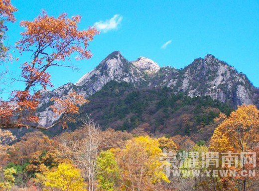 ����Խ���롿�����:10��24������ �����ȸɭ�ֹ�԰�����еǸ���Զ������ʷ�...