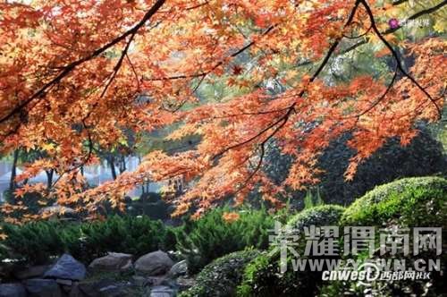 ����Խ���롿�����:10��24������ �����ȸɭ�ֹ�԰�����еǸ���Զ������ʷ�...