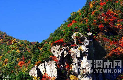 ����Խ���롿�����:10��24������ �����ȸɭ�ֹ�԰�����еǸ���Զ������ʷ�...