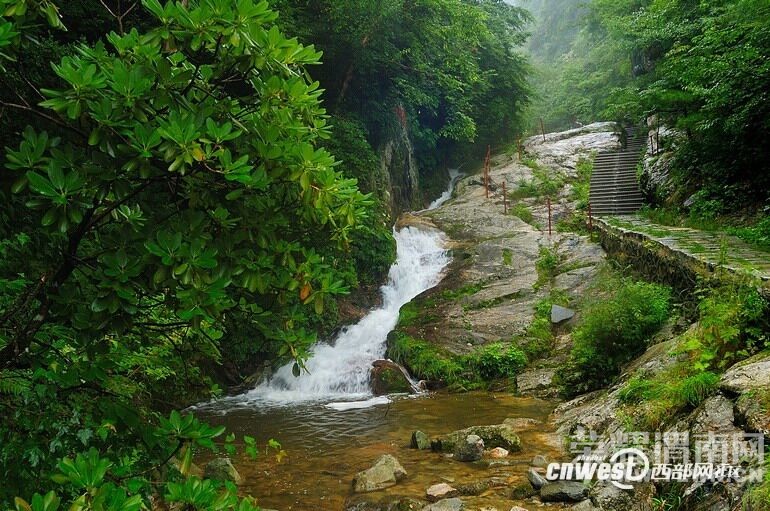 ����Խ���롿�����:10��24������ �����ȸɭ�ֹ�԰�����еǸ���Զ������ʷ�...