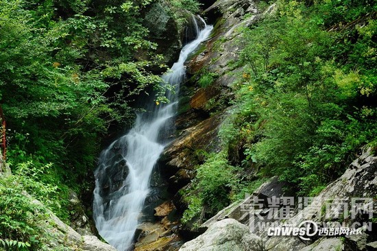 ����Խ���롿�����:10��24������ �����ȸɭ�ֹ�԰�����еǸ���Զ������ʷ�...