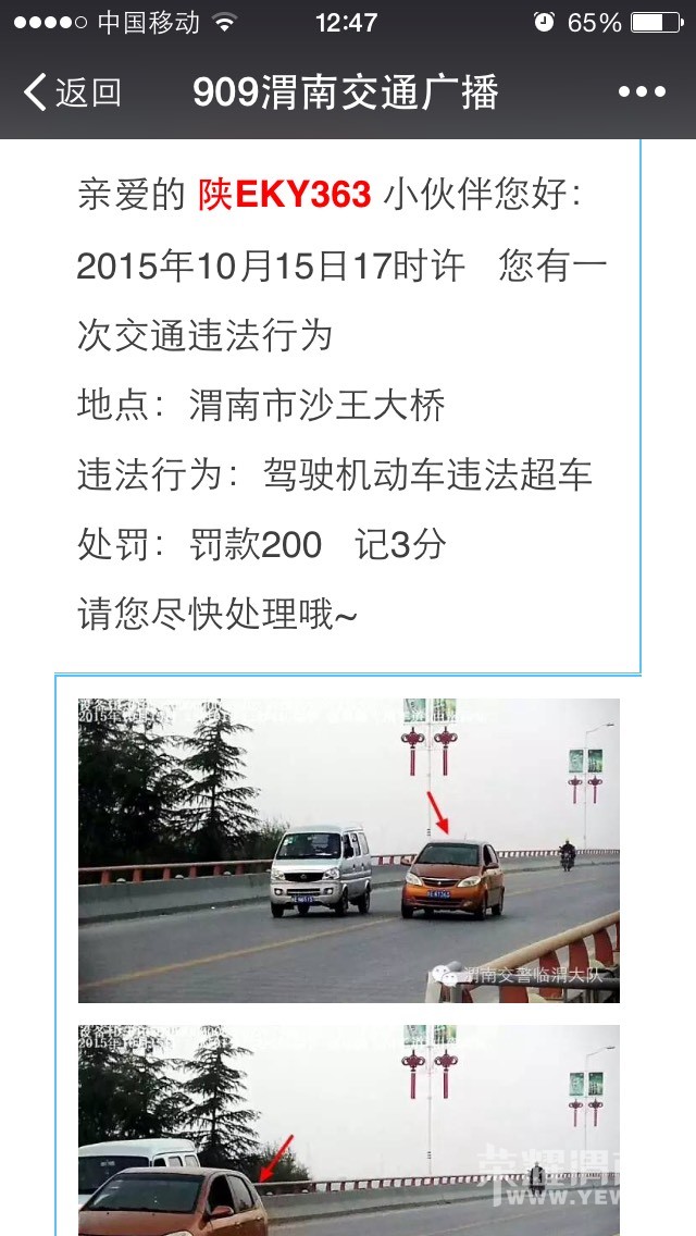 125225peci1c9zzuwze9wk.jpg