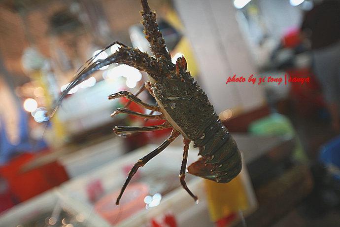 �������ǣ��������ġ�