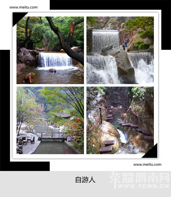 �������ˡ�11.7�š�ɽ����A��������ɽ�￴��Ҷ�ƻ�ֵ�ؼ۶�����