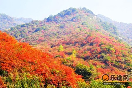 μ�ϡ�����ͬ�л��⡿10��24������������ƺ�ͺ�Ҷ������