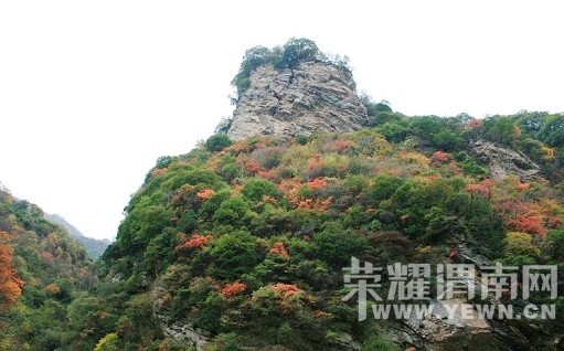 μ�ϡ�����ͬ�л��⡿10��24������������ƺ�ͺ�Ҷ������