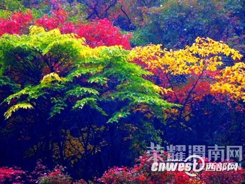 μ�ϡ�����ͬ�л��⡿10��24������������ƺ�ͺ�Ҷ������