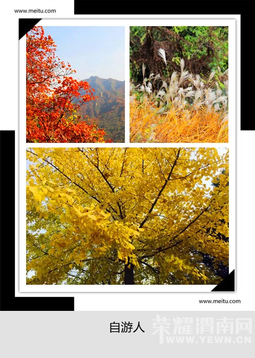 �������ˡ�10.31��������������ϵ�һ�Ρﻯ�������ư�����