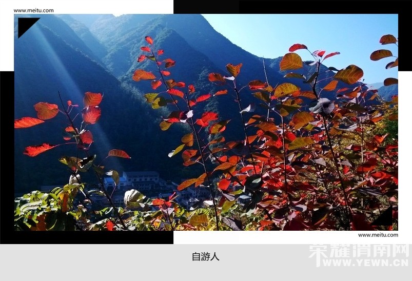 �������ˡ�10.31��������������ϵ�һ�Ρﻯ�������ư�����