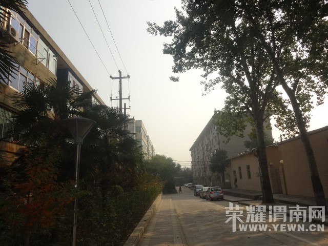 ������Ϧ��