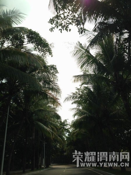 ���ű���ȥ���Σ�