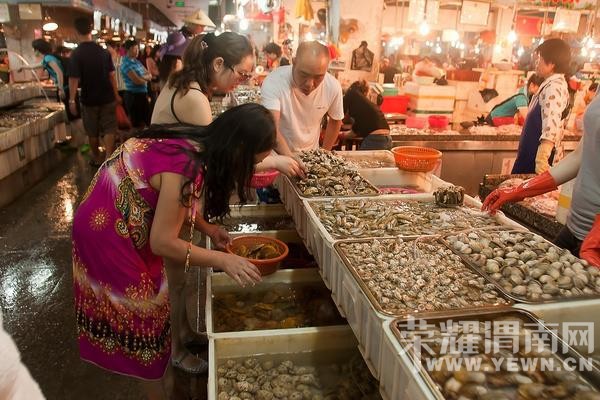 ���ű���ȥ���Σ�