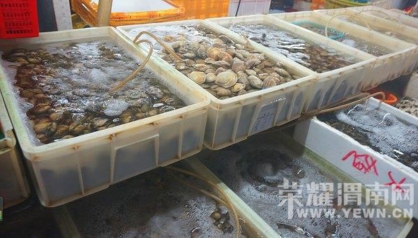 ���ű���ȥ���Σ�