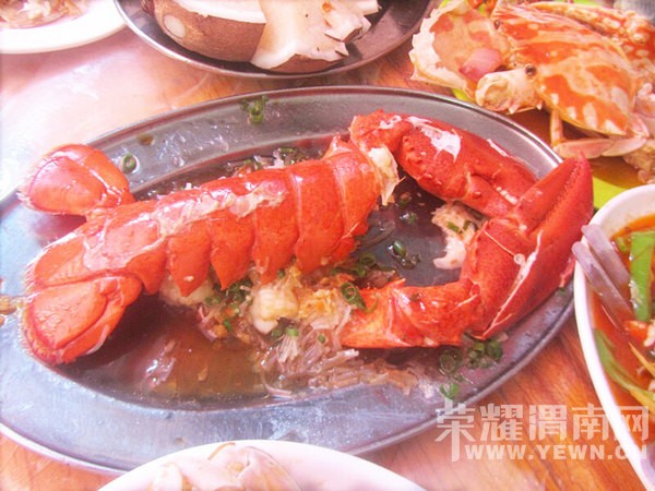 ���ű���ȥ���Σ�