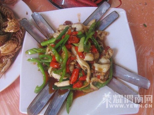 ���ű���ȥ���Σ�