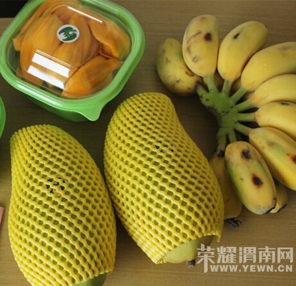 ���ű���ȥ���Σ�