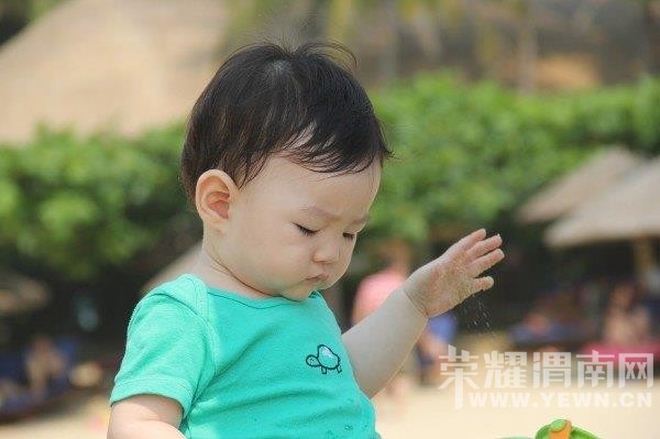 ���ű���ȥ���Σ�