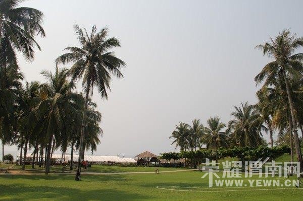 ���ű���ȥ���Σ�