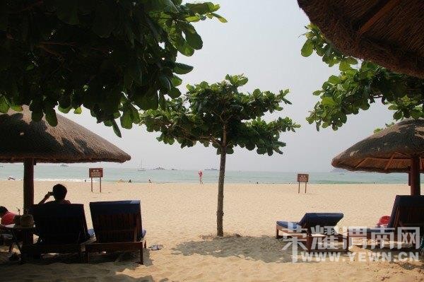 ���ű���ȥ���Σ�