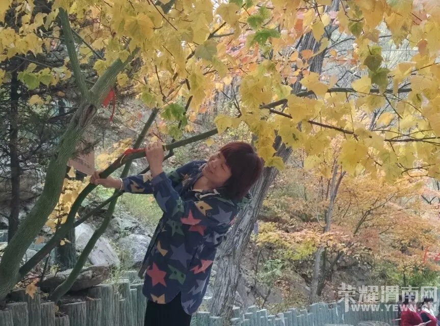 ��μ���߲ʻ��⡿10��31/11��1�չ���5A��������ɽ��Ҷ���ɽ�ƶ��͡������¾���������