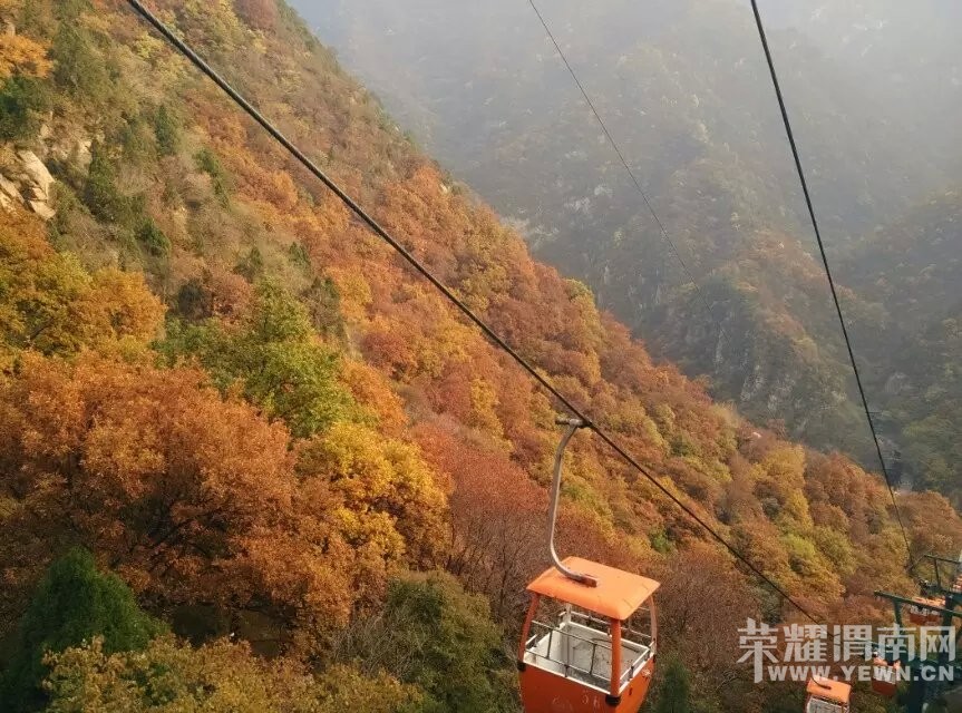 ��μ���߲ʻ��⡿10��31/11��1�չ���5A��������ɽ��Ҷ���ɽ�ƶ��͡������¾���������