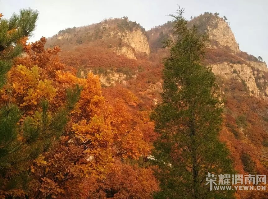 ��μ���߲ʻ��⡿10��31/11��1�չ���5A��������ɽ��Ҷ���ɽ�ƶ��͡������¾���������