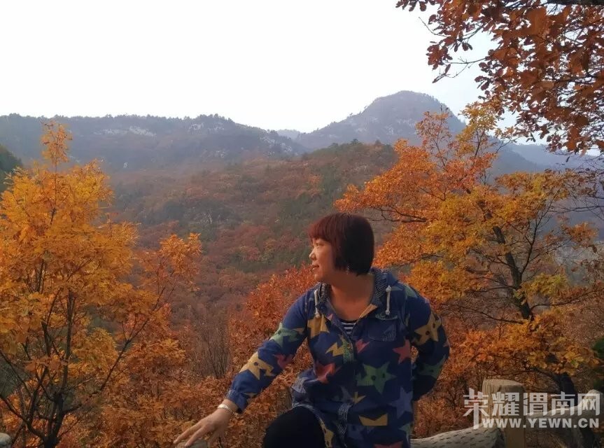 ��μ���߲ʻ��⡿10��31/11��1�չ���5A��������ɽ��Ҷ���ɽ�ƶ��͡������¾���������