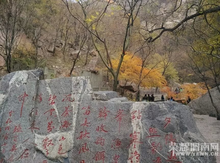 ��μ���߲ʻ��⡿10��31/11��1�չ���5A��������ɽ��Ҷ���ɽ�ƶ��͡������¾���������