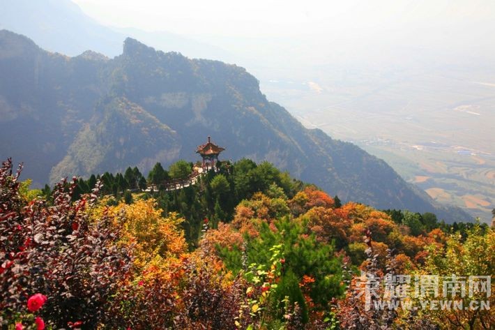 ��μ���߲ʻ��⡿10��31/11��1�չ���5A��������ɽ��Ҷ���ɽ�ƶ��͡������¾���������