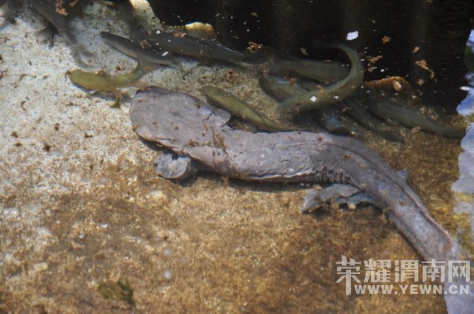 μ�ϡ�����ͬ�л��⡿10��31��-11��1�����ư�ܫ������կ�������������