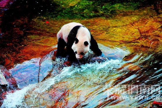 μ�ϡ�����ͬ�л��⡿10��31��-11��1�����ư�ܫ������կ�������������