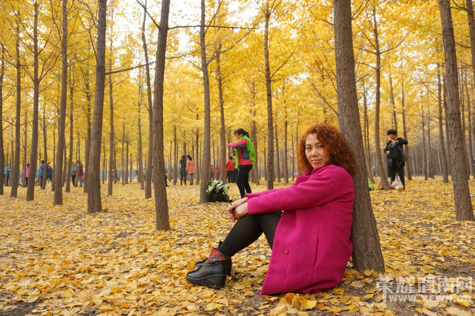 μ�ϡ�����ͬ�л��⡿10��31�ţ��������������꡷���ͽ�ɫ�����������֡�һ����