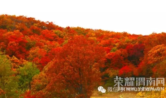 ��μ�ϸ�̽�Ż��⡿10.31������������ս���ա�̼��ġ��߲ʲ����š������������Ҷ