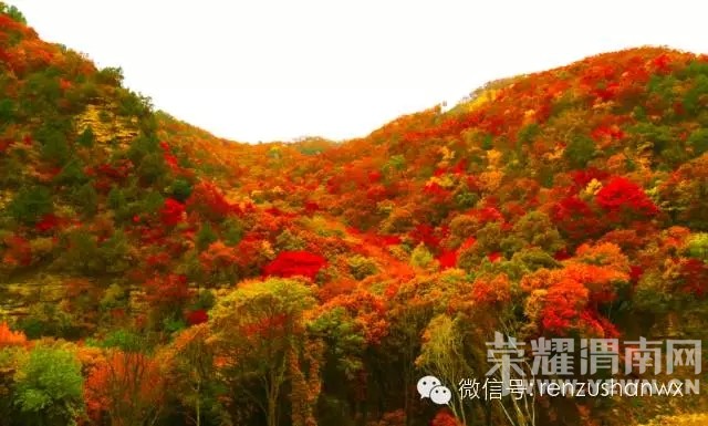 ��μ�ϸ�̽�Ż��⡿10.31������������ս���ա�̼��ġ��߲ʲ����š������������Ҷ