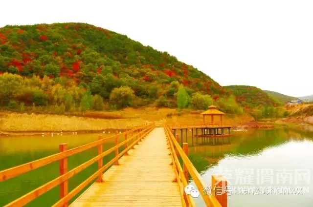 ��μ�ϸ�̽�Ż��⡿10.31������������ս���ա�̼��ġ��߲ʲ����š������������Ҷ