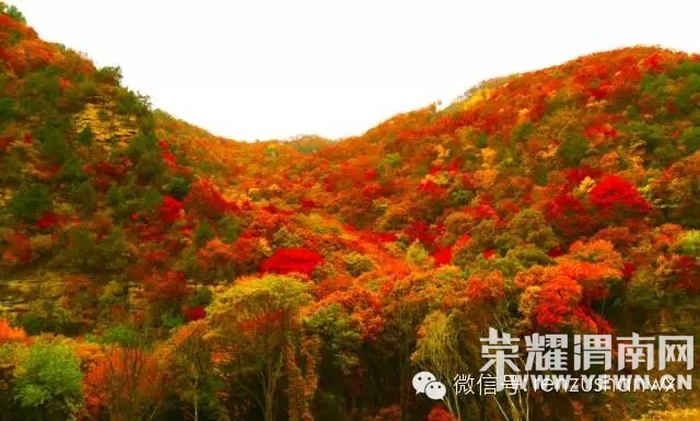 �������˻�������10.31����ս���ա�̼��ġ��߲ʲ����š������������Ҷһ����.