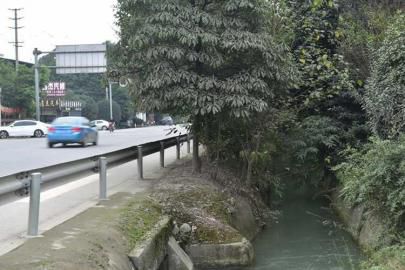 �Ű�һ˾���ݳ�ײ�˺����� 2������������ʬ��