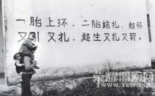 211247qn7ff97nzfooneko.jpg