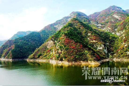 μ�ϡ�����ͬ�л��⡿11��7�����������ͺ�Ҷ��ɫâ�ݻ�һ����