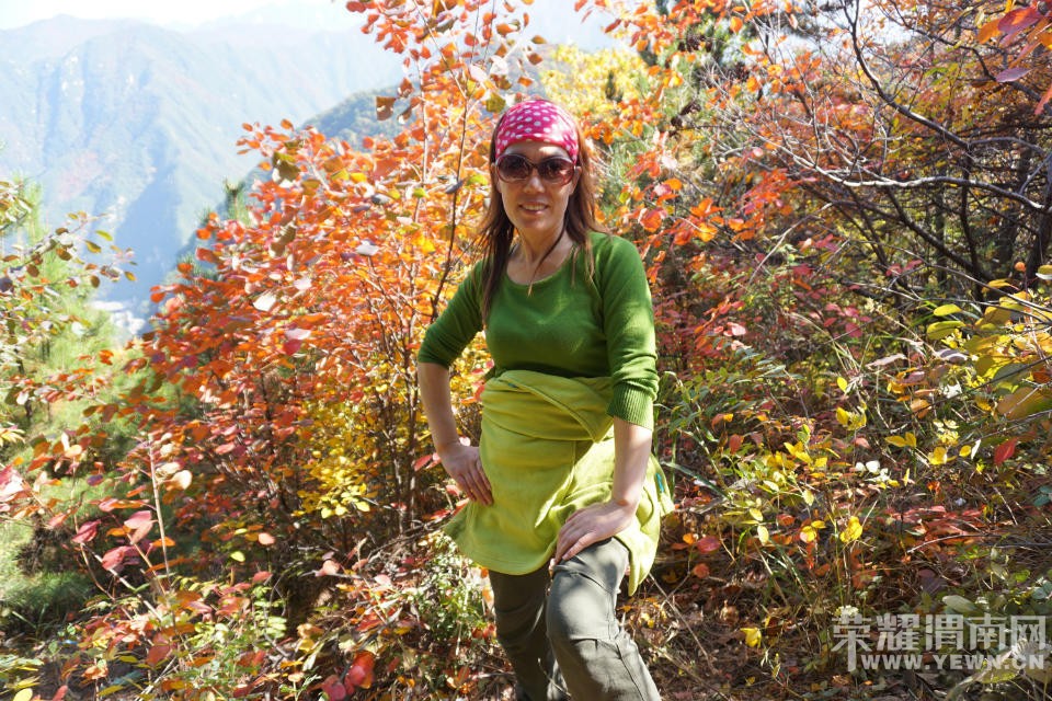 μ�ϡ�����ͬ�л��⡿11��7�����������ͺ�Ҷ��ɫâ�ݻ�һ����