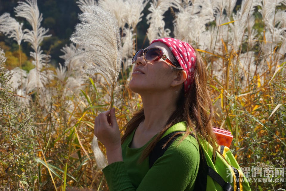 μ�ϡ�����ͬ�л��⡿11��7�����������ͺ�Ҷ��ɫâ�ݻ�һ����