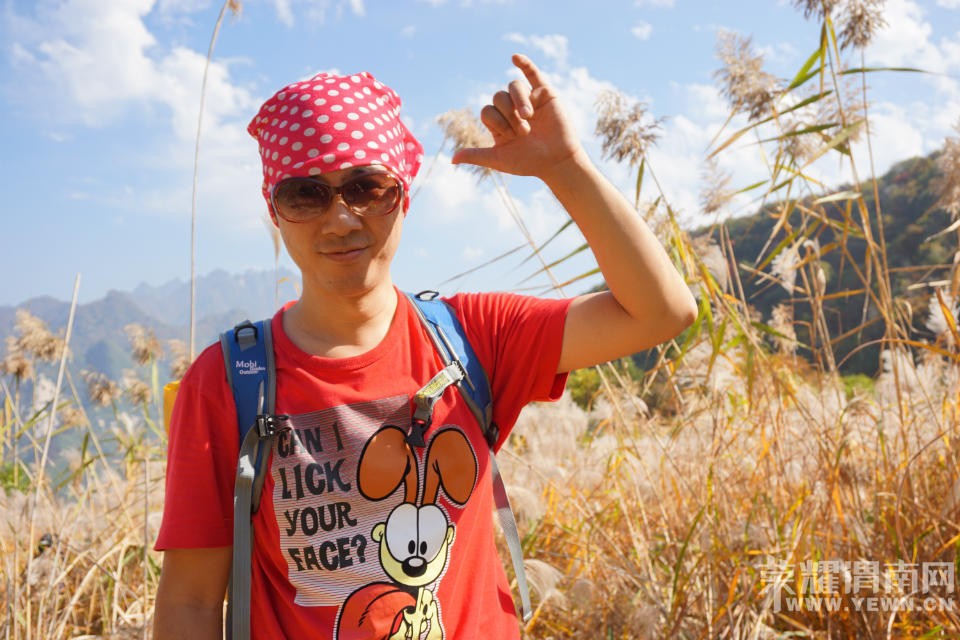 μ�ϡ�����ͬ�л��⡿11��7�����������ͺ�Ҷ��ɫâ�ݻ�һ����