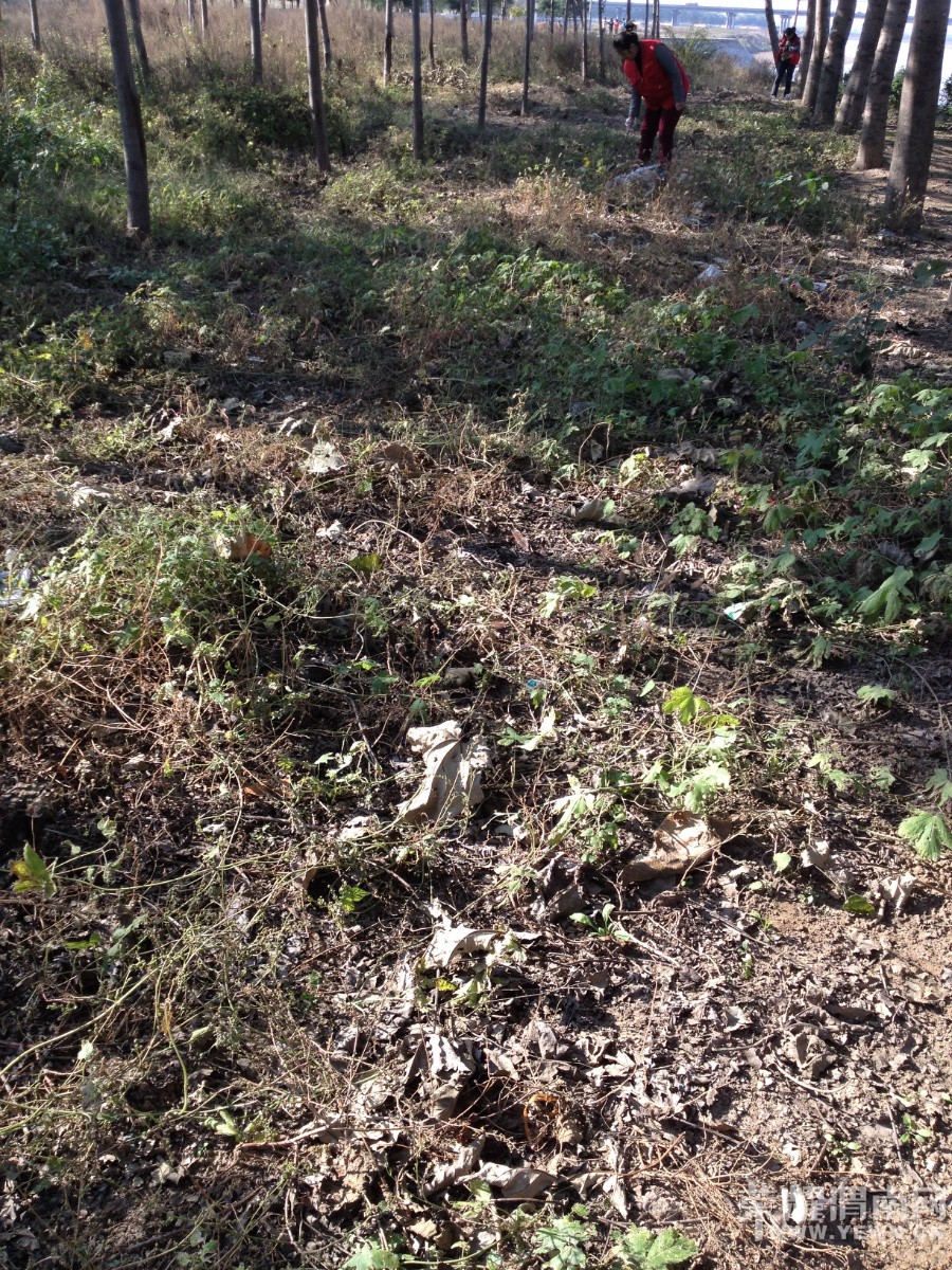 RE:�ж�����